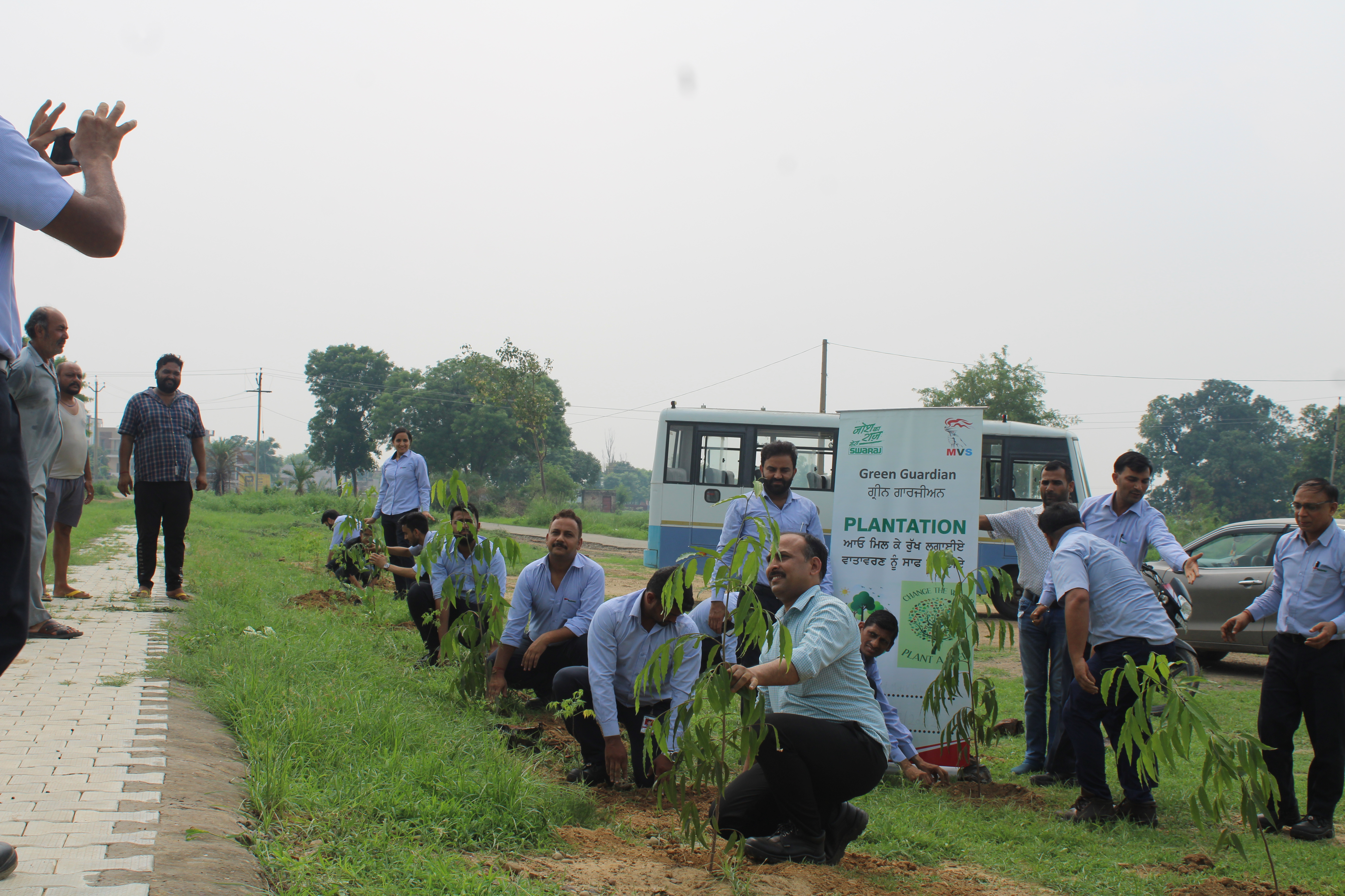 Agro-forestry Plantation